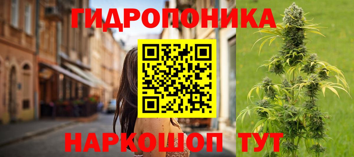 Бошки Шишки White Widow  Канабис AK-47  Вход с VPN  Шишки марихуана план  Ставрополь 